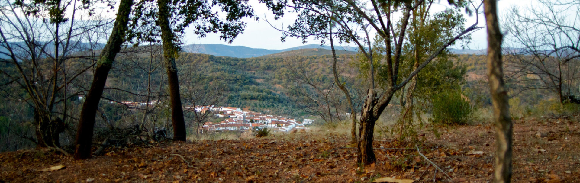 El Proyecto